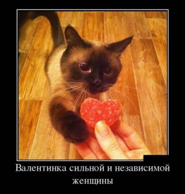 Подборка прикольных фоток на День Влюбленных