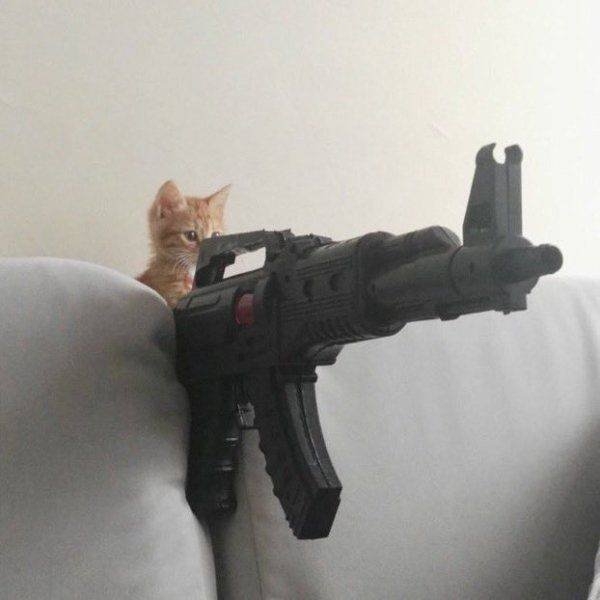 Прикольная подборка