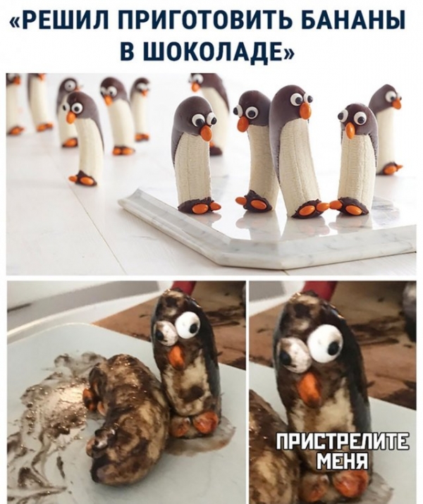 Свежая подборка прикольных картиносов