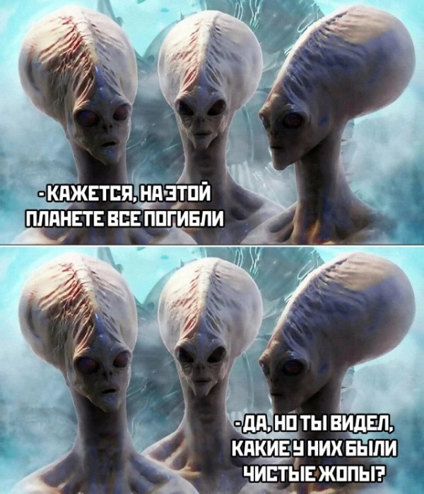 Свежая подборка прикольных картиносов