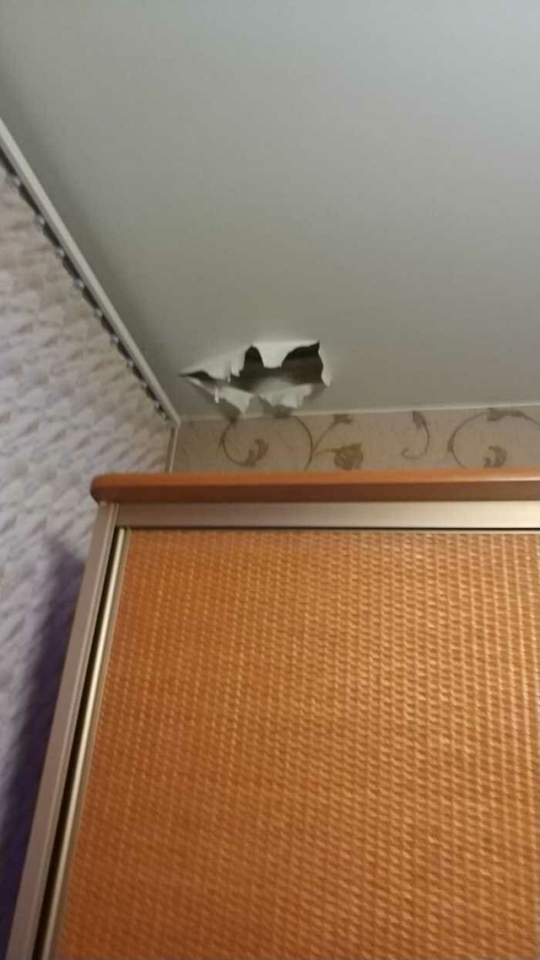 Потому что котиков обижать нельзяяя