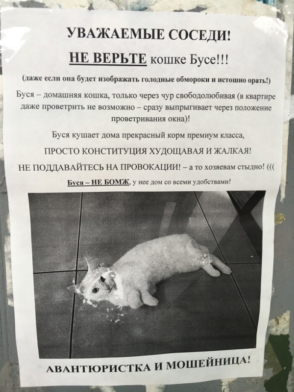Потому что котиков обижать нельзяяя