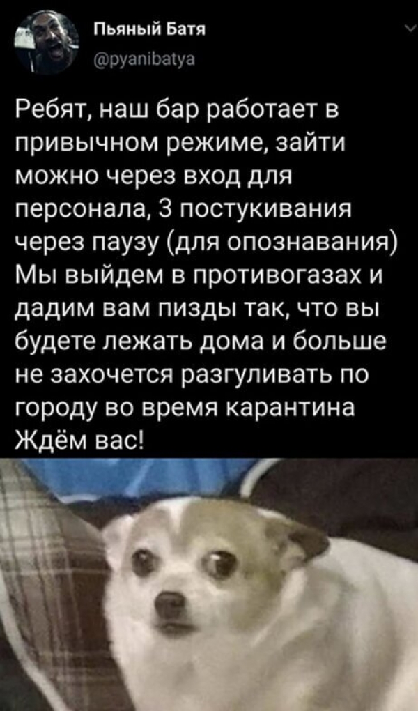 Прикольная подборка картинок