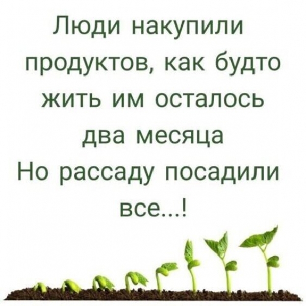 Прикольная подборка картинок