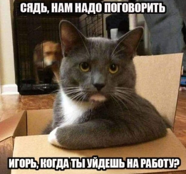 Прикольная подборка картинок