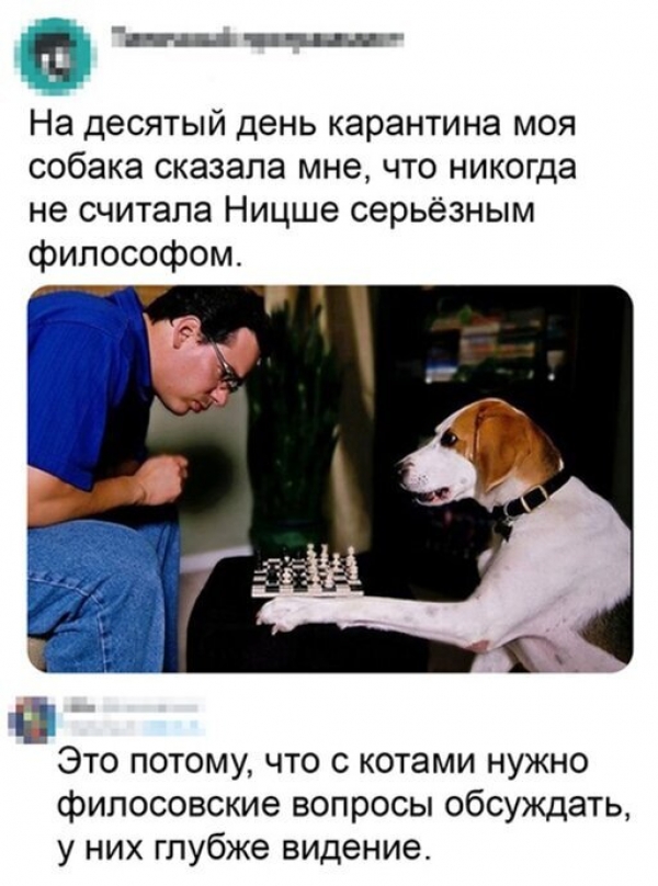 Прикольная подборка картинок