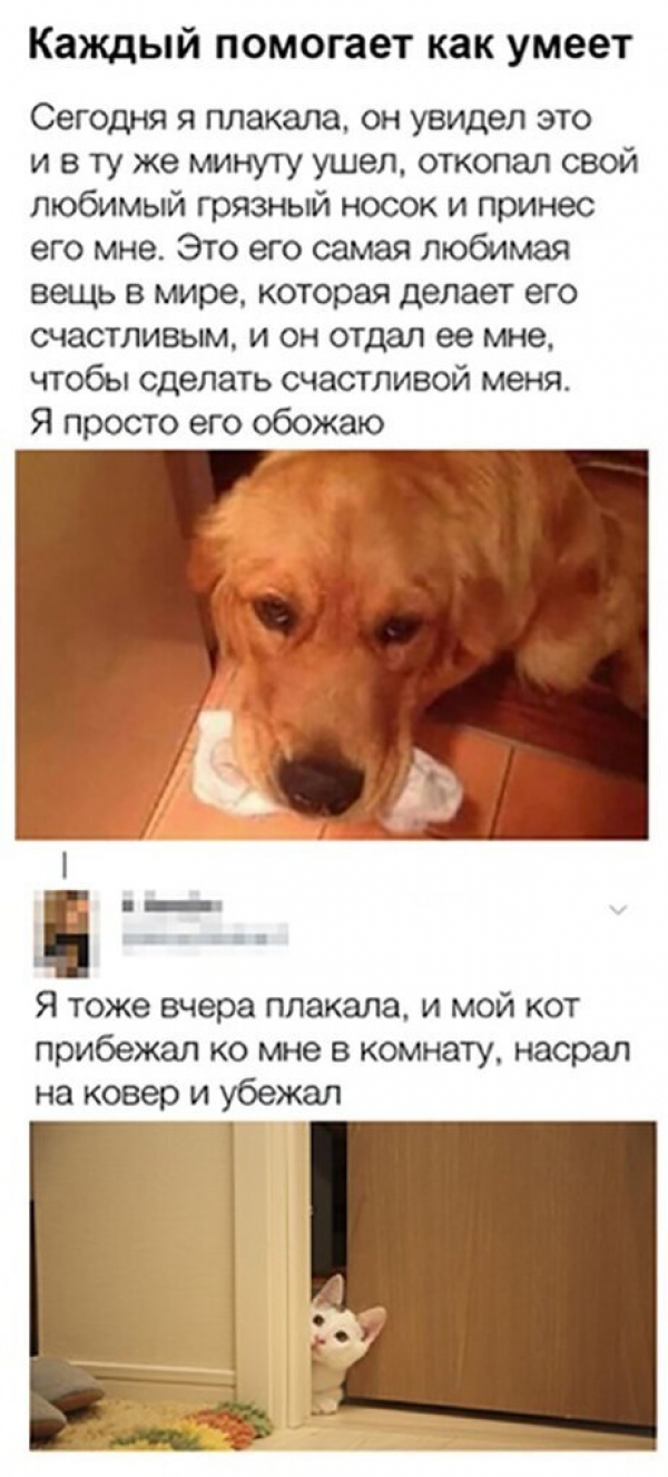 Прикольная подборка картинок