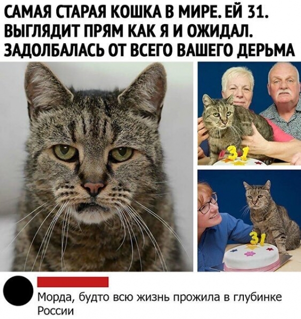 Прикольная подборка картинок