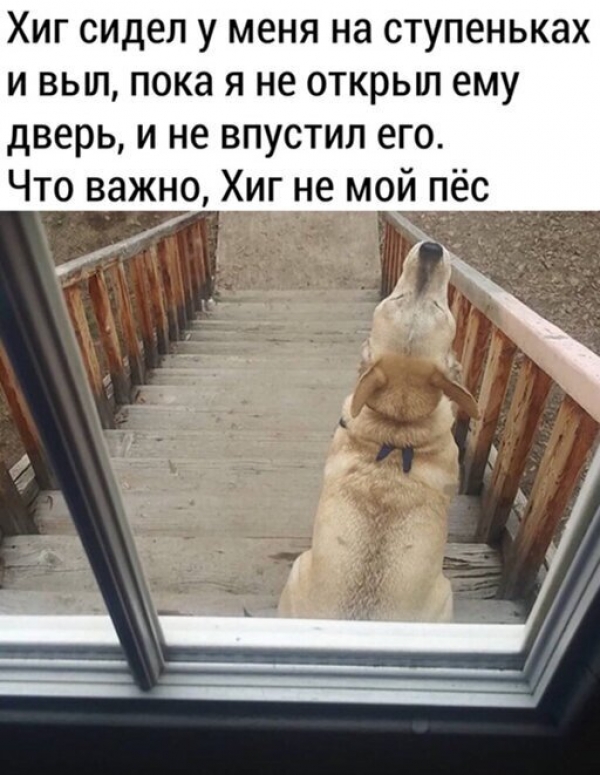 Прикольная подборка картинок