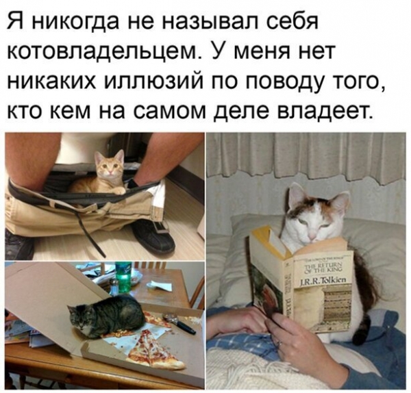 Прикольная подборка картинок