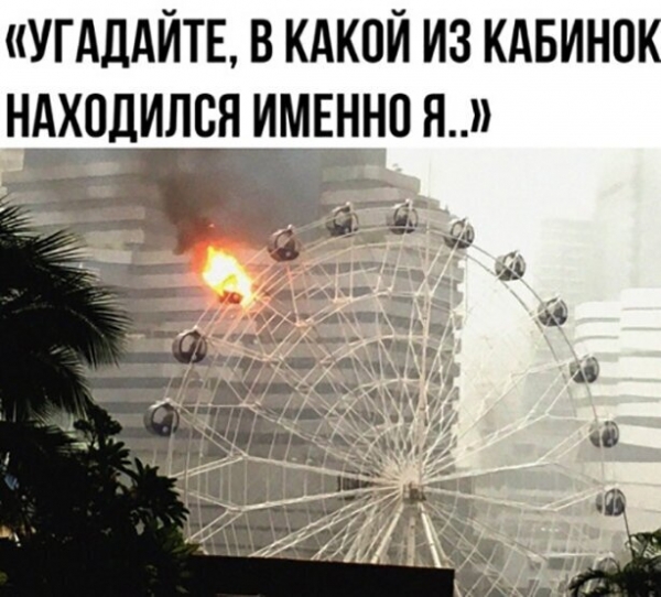 Прикольная подборка картинок