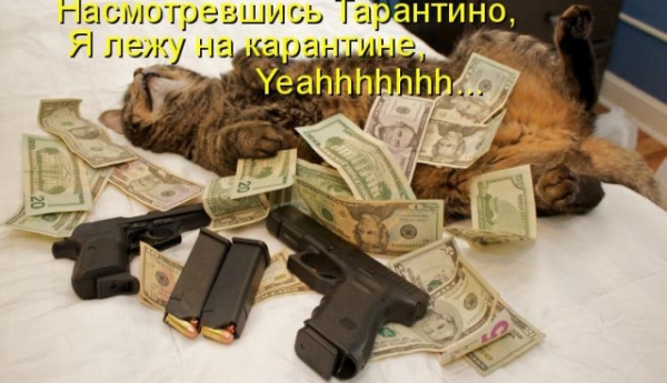 Котейки с котоматрицы