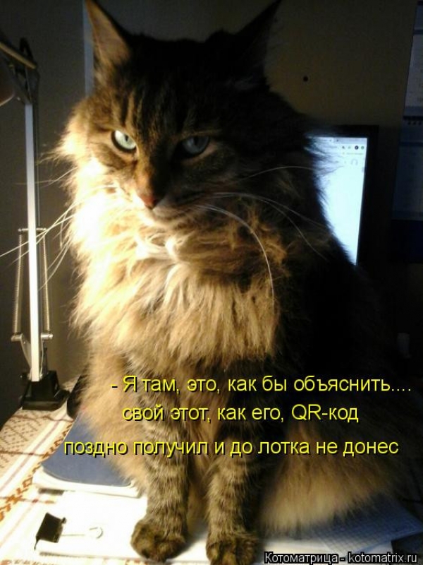 Котейки с котоматрицы