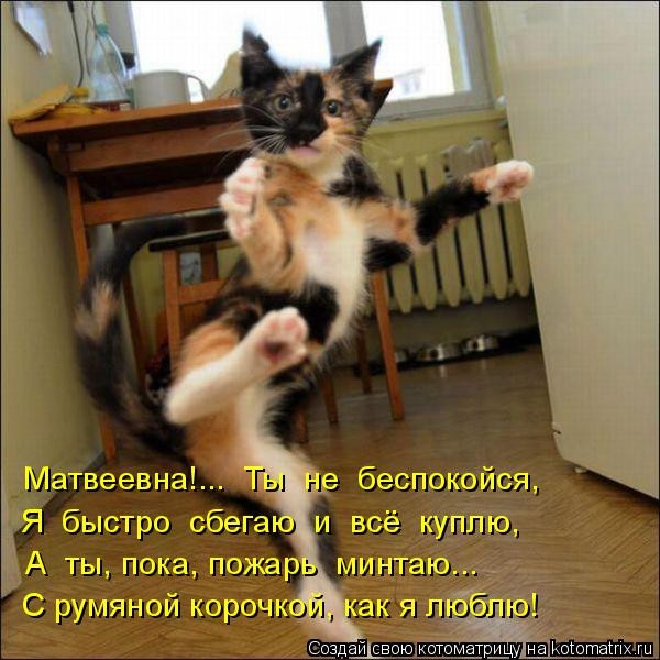 Котейки с котоматрицы