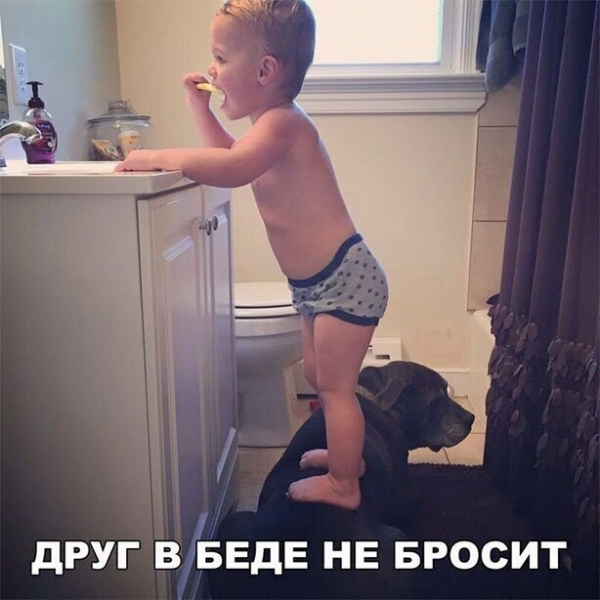 Прикольная подборка