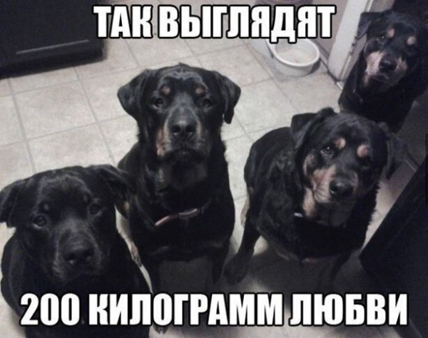Прикольная подборка