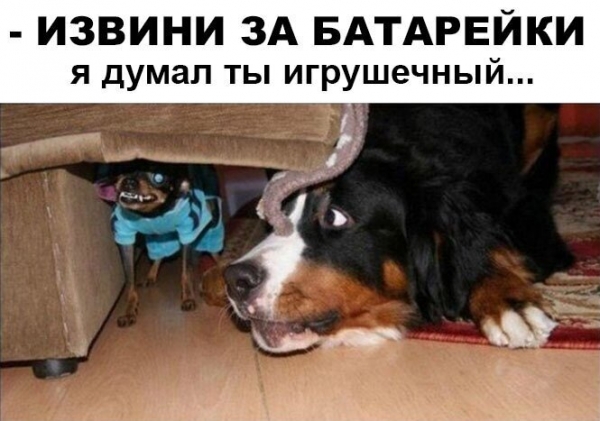 Прикольная подборка