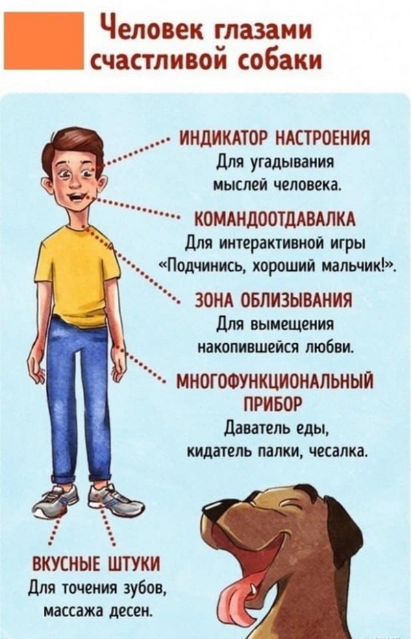 Как выглядит человек в глазах животных