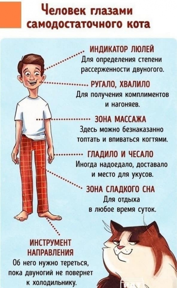 Как выглядит человек в глазах животных
