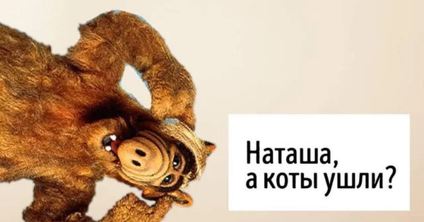 Котам не сдается наш гордый Наташ