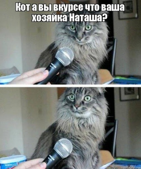 Котам не сдается наш гордый Наташ