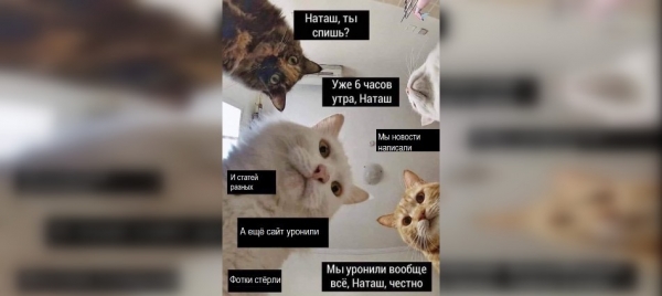 Котам не сдается наш гордый Наташ