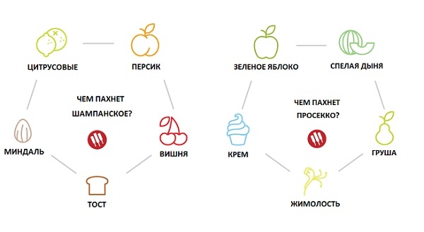 Почему шампанское намного превосходит в цене просекко