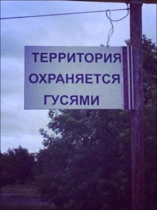 Прикольные надписи вокруг нас