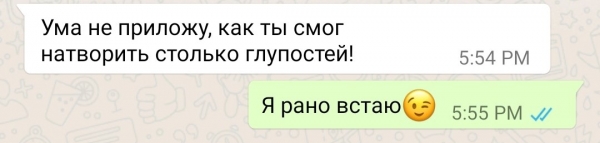 Хамство и юмор в переписке