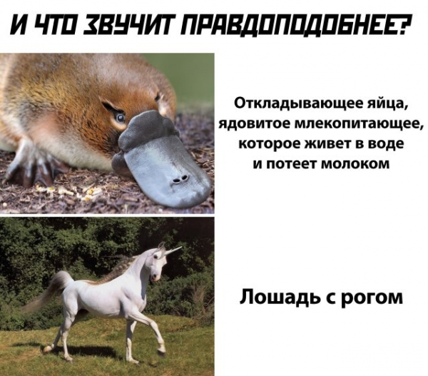 Очередной сборник прикольных картинок