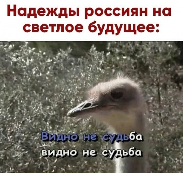 Соцсеть гудит - Россия обнулилась!!!