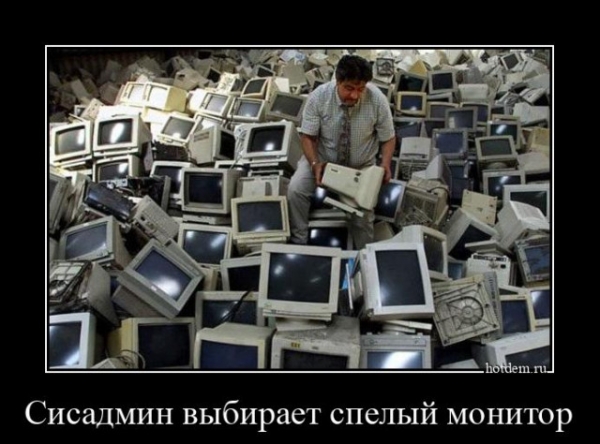 Свежие Демотиваторы