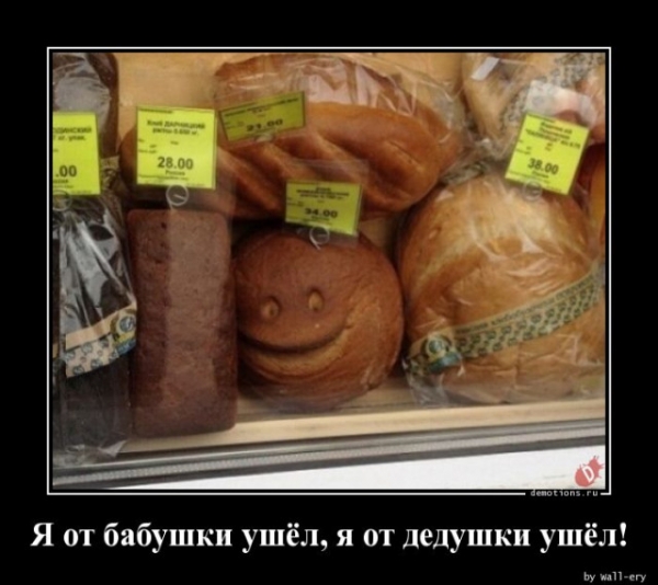 Свежие Демотиваторы