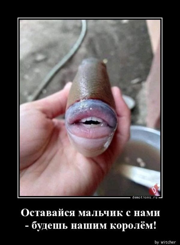 Свежие Демотиваторы