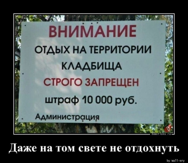 Свежие Демотиваторы