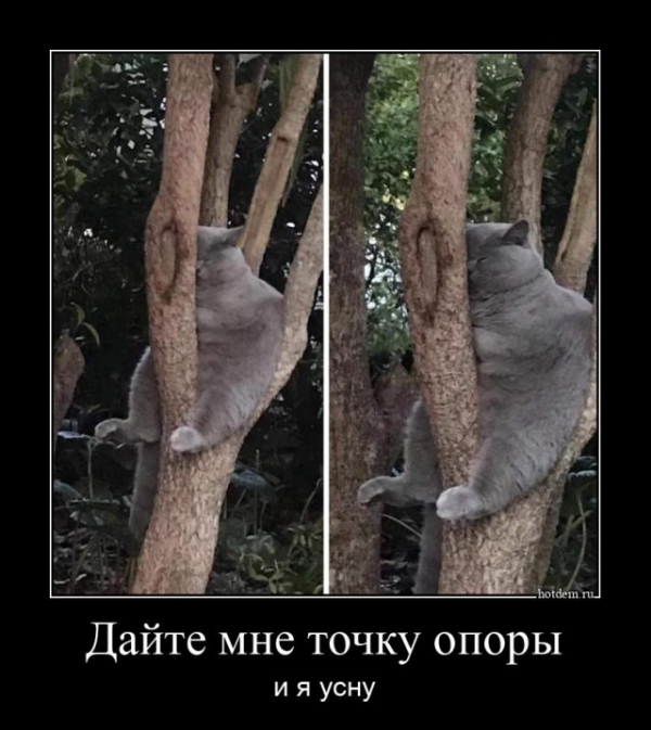 Свежие Демотиваторы