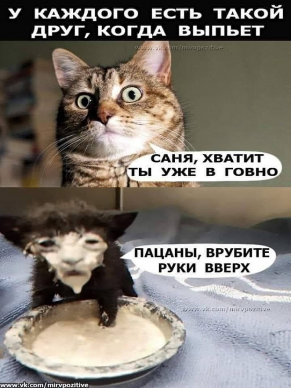 Веселые картинки