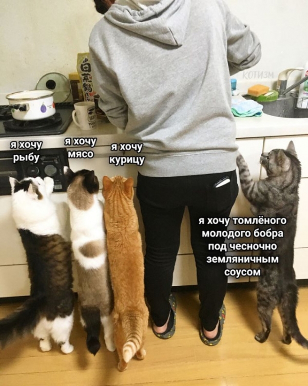 Веселые картинки