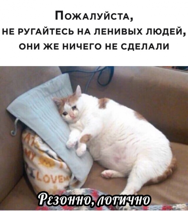 Веселые картинки