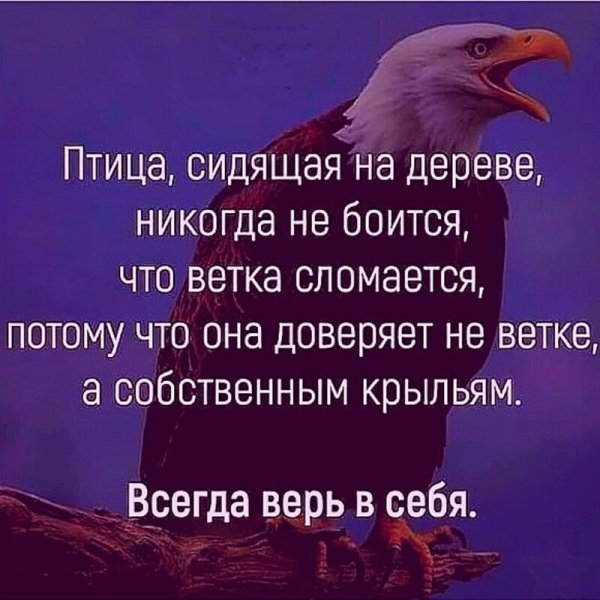 Мудрые мысли о жизни...