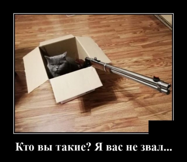 Демотиваторы