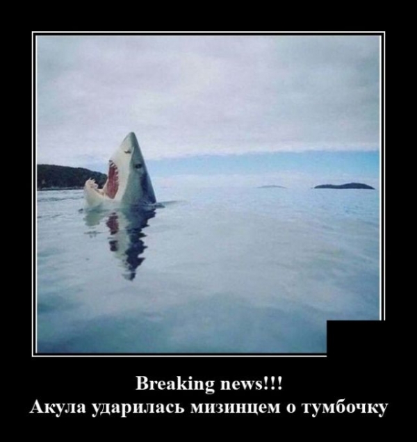 Демотиваторы