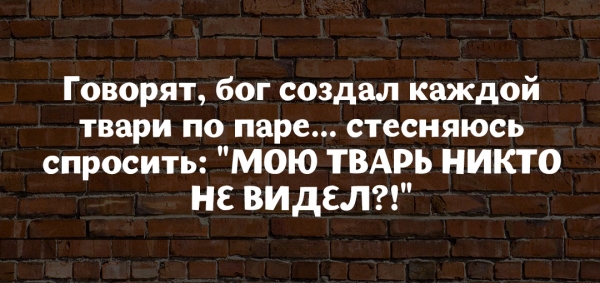 Юмор на женский лад