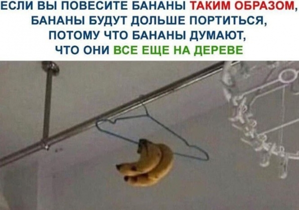 Смешная подборка картинок