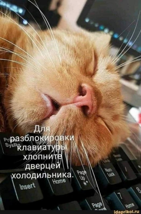 Забавная подборочка картинок