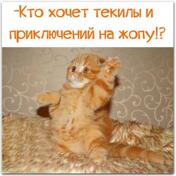 Милые женские открыточки