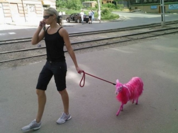 Девушки развлекаются