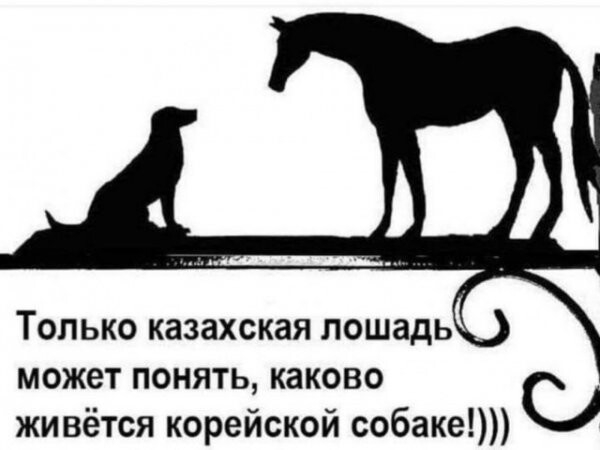 Картинки с юморными надписями