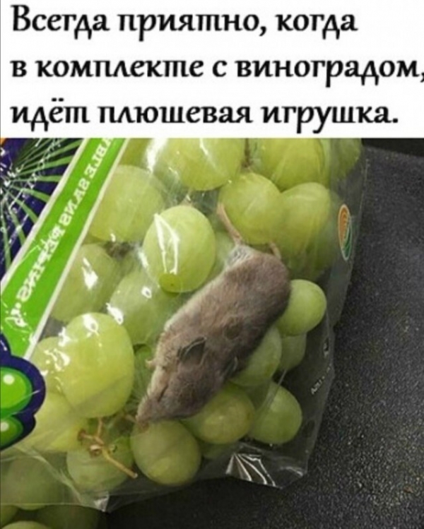 Картинки с юморными надписями