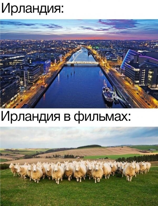 Картинки с юморными надписями